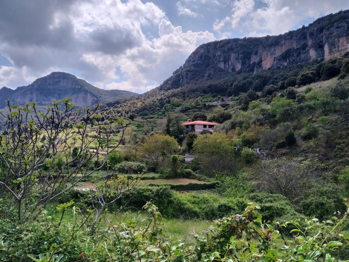 B&B Taccu Maccu Ulassai Exterior foto